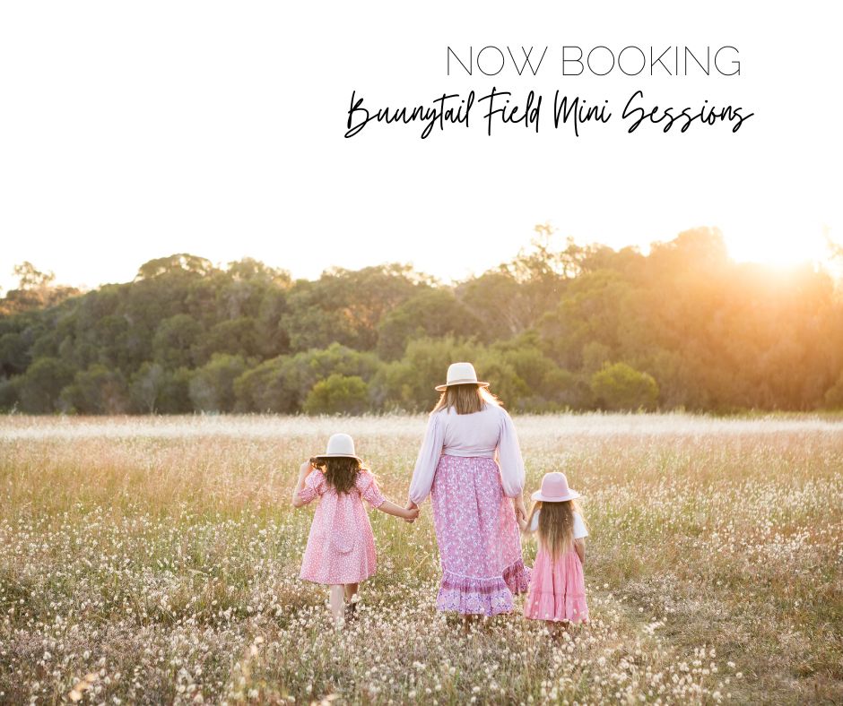 mini sessions